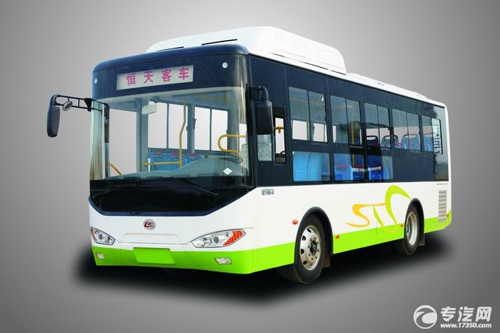 安徽省合肥市出台新能源汽车推广应用财政补助管理细则