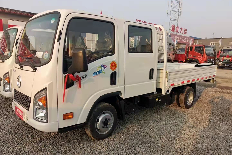 大运奥普力汽油双排国六载货车